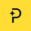 Paddle-company-logo
